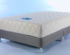 10" Memory Foam Block Bounce Back